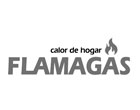 logo_flamagas